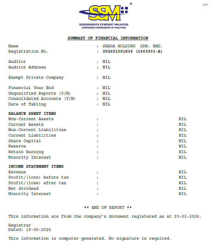 SSM CTC for Seaga Holding Sdn Bhd, page 6 — Summary of Financial Information